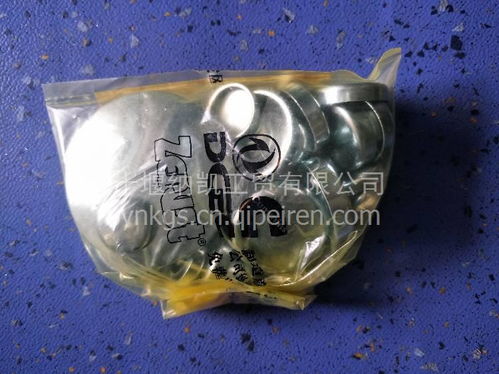 客車(chē)公交車(chē)東風(fēng)天龍全車(chē)水堵配件指南 11b031-c價(jià)格、圖片與廠家解析